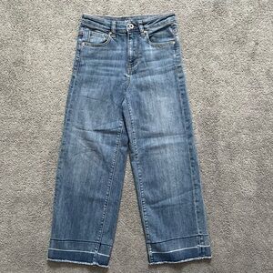 DKNY Woman’s Classic Blue Straight Jeans Cropped